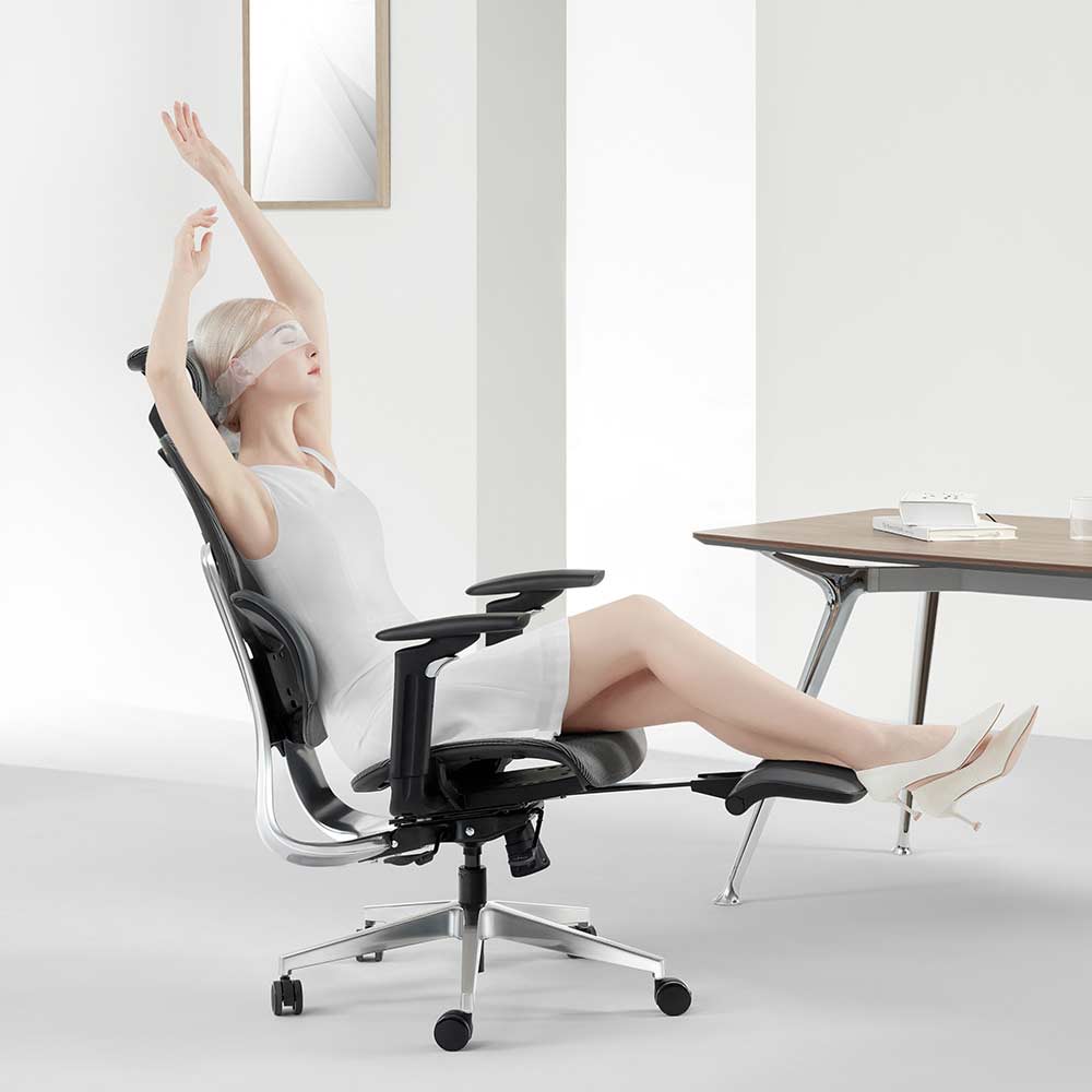 HBADA E3 Ergonomic Chair Pro